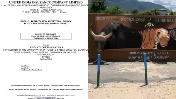 Good news for Bandipur tourists from Forest Department
