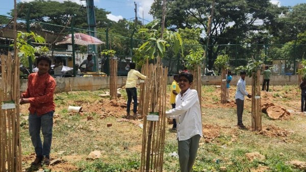 BBMP Has Planted And Nurtured 90,000 Saplings For A Green Bengaluru