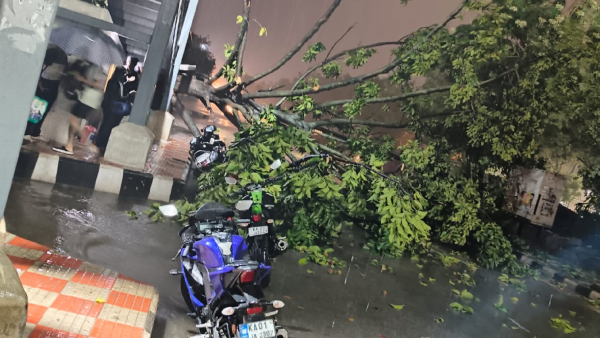 Bengaluru Rain: Heavy Rainfall in Bengaluru Disrupts Normal Life in Several Areas
