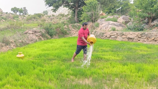 Drought Study In Chikkaballapur District From Tomorrow