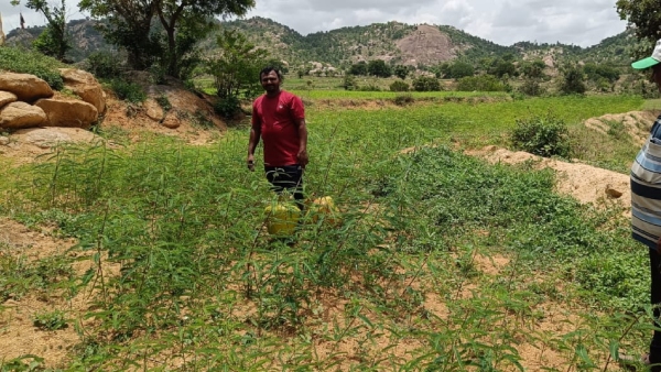 Drought Study In Chikkaballapur District From Tomorrow