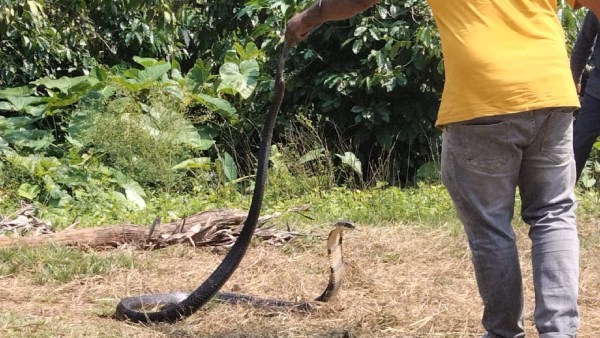 Farmer Lost His Leg Due To Dynamite Explosion In Chikkamagaluru