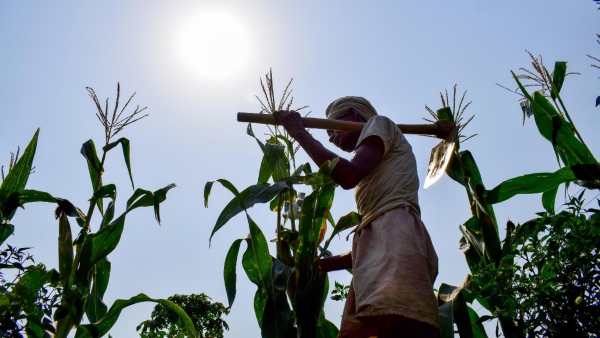 Now Farmers Can Register Name For Crop Insurance List Of Crops