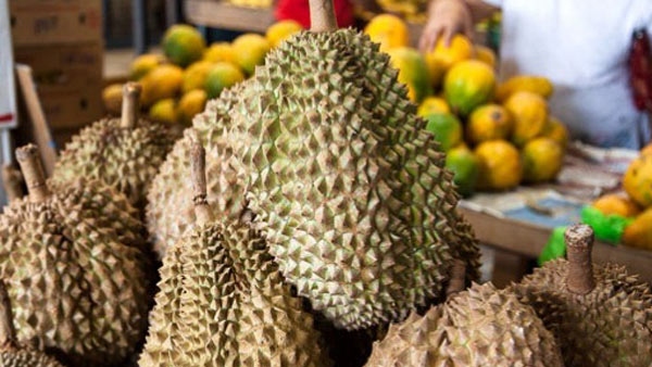 King of Fruits: Health Benefits of Durian Fruit in kannada