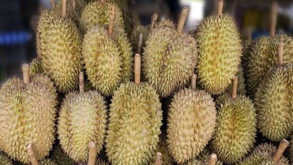 King of Fruits: Health Benefits of Durian Fruit in kannada