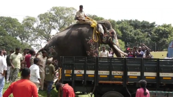Mysore Dasara 2023: Elephant Gives A Royal Farewell From Mysore Palace Post Successful Procession 