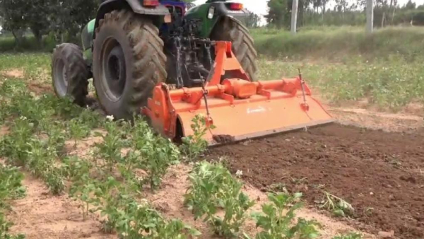 Fake Seed Distribution Allegation In Kolar 