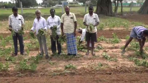 Fake Seed Distribution Allegation In Kolar 