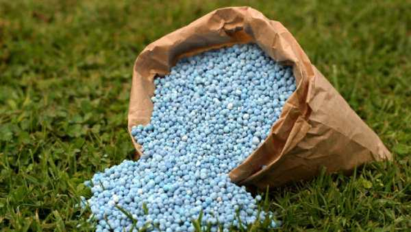 Rabi Season: Union Cabinet Approved to Rs 22,303 Cr Subsidy on P and K Fertilizers