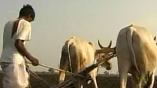 government-breaks-to-banks-recovery-of-loan government-breaks-to-banks-recovery-of-loan