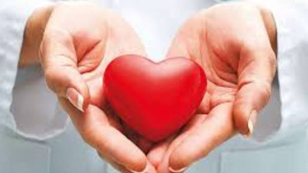 Heart Travels 14km in 13 Minutes to Rescue 7-Year-Old Girl in Bengaluru Heart Travels 14km in 13 Minutes to Rescue 7-Year-Old Girl in Bengaluru