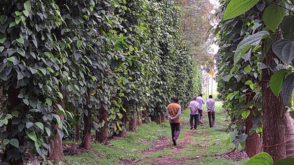 k-r-pete-farmer-subbegowda