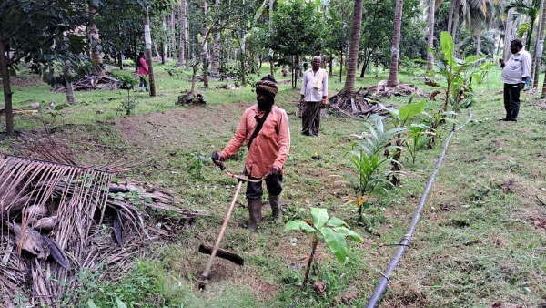 k-r-pete-farmer-subbegowda