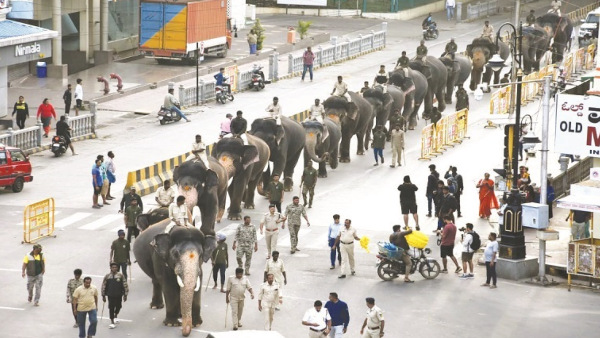 Know interesting facts of Kanjan elephant