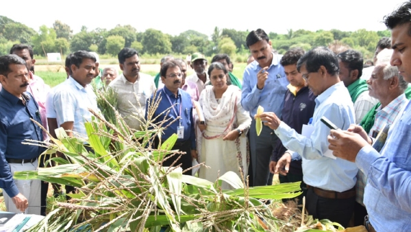 lack-of-rain-at-belagavi