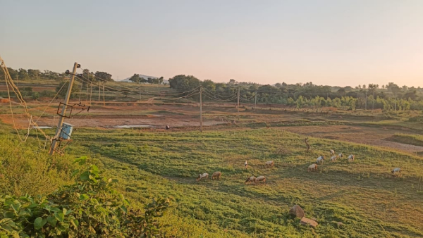 Chikkaballapur Fishermen Face Hardship As Drought Depletes Local Lakes And Ponds Of Fish