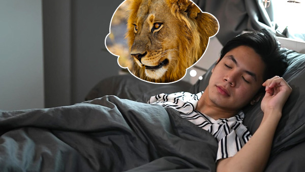 Navratri 2023 meaning of seeing these things in your dream during navaratri in kannada