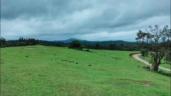 Gandhi Jayanti 2023: Why did Mahatma Gandhi come to Kodagu in 1934?