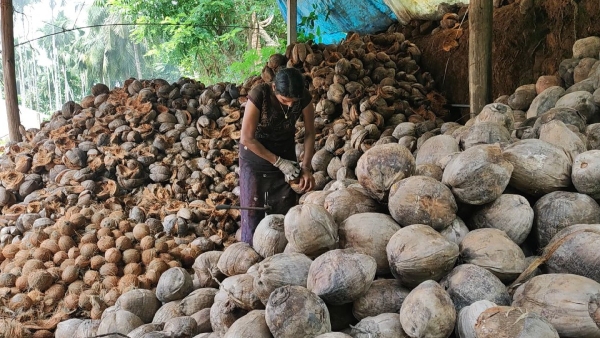 Woman achievement: Interesting Story of woman who 1,200 rupees earned salary within an afternoon