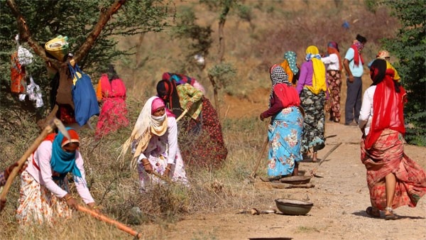Governments thought to provide employment to farmers migrating from villages to cities