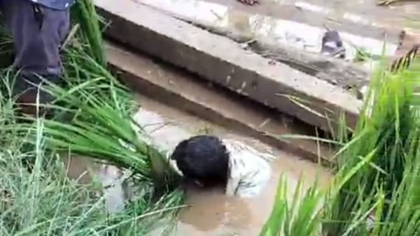 miraculous-escape miraculous-escape