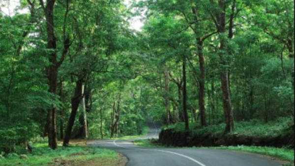 mysore-dasara-2023 mysore-dasara-2023