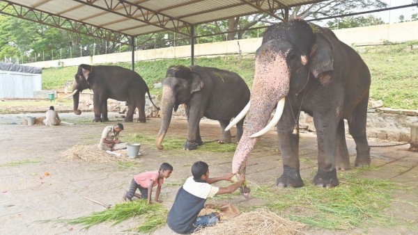 mysuru-dasara-2023