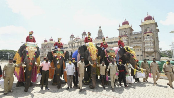 Sugriva joins 4 new elephants with coke from Mysuru Dasara Jamboo savari