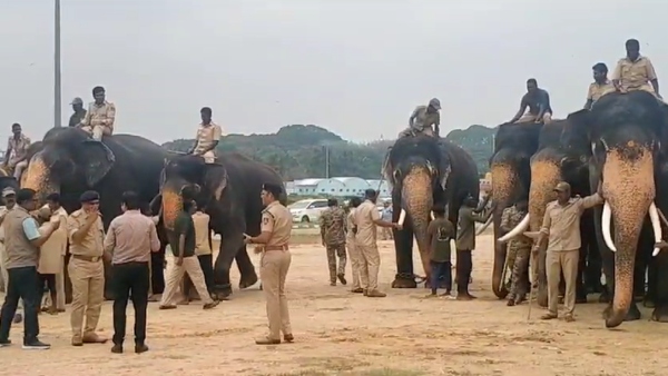 Mysuru Dasara 2023: Kushala Topu Training Begins For Gajapade