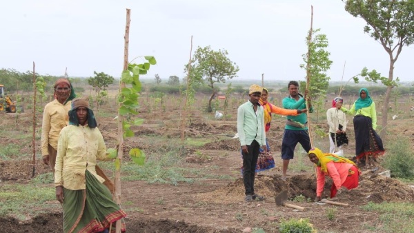 Apply For 16 Post Under NREGA Scheme At Shivamogga