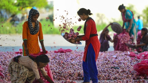 Onion Prices Surge to ₹70 per kg in Bengaluru, Expected to Rise Further