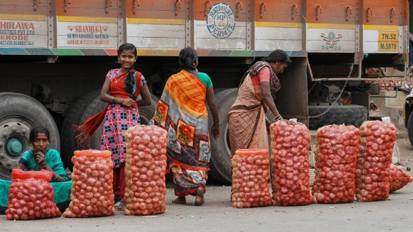 Onion Prices Expected to Surge Due to Rainfall Shortage Impact
