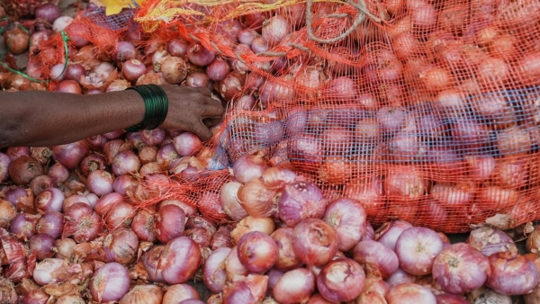 Onion Price Hike: Onion Price details in raichur district markets, customers are worried 