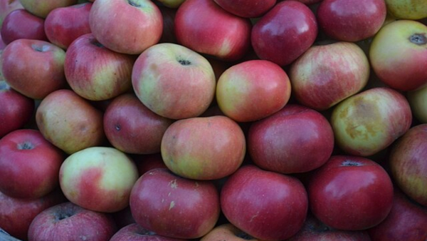 ooty-apple-health-benefits