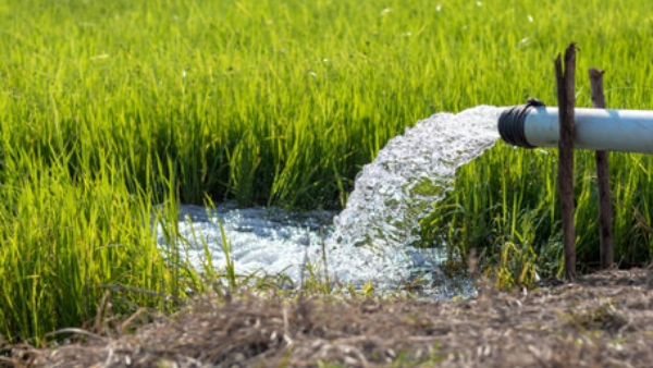 Farmers Demand For Ten Hours A Day Three-Phase Power Supply To PumpSets