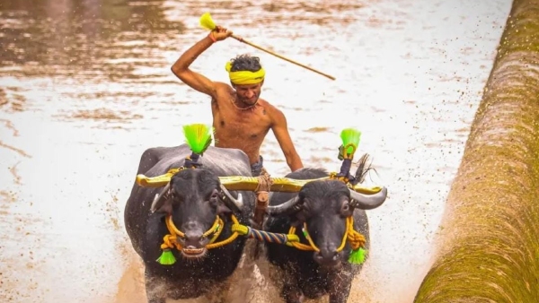 puttur-mla-ashok-rai