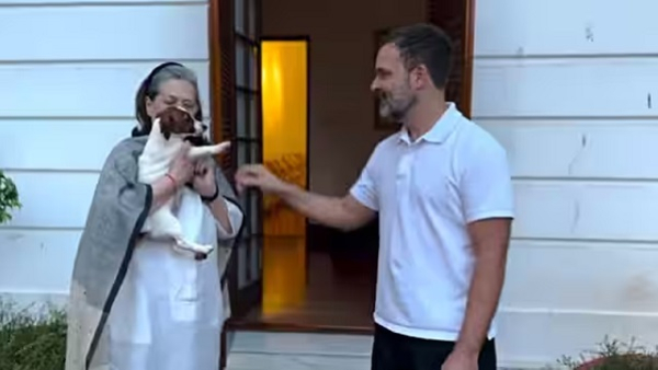 rahul-gandhi-welcomes-noorie-the-puppy rahul-gandhi-welcomes-noorie-the-puppy