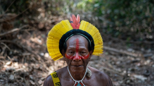 Rivers at Brazils Amazon Rainforest Reaches Record-Low Levels Amidst Drought