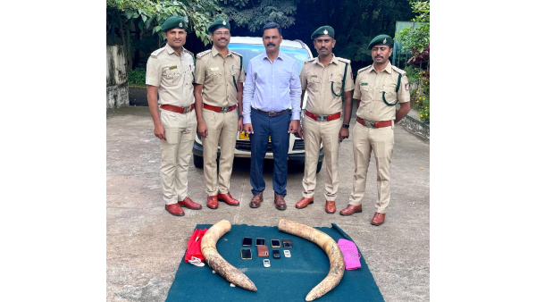 8 Accused Arrested In Illegally Transporting Elephant Tusk Case