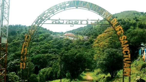 travel-news travel-news