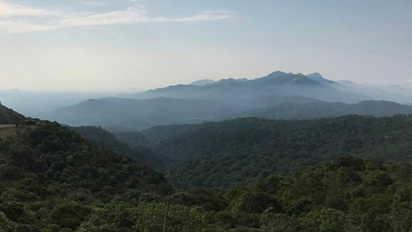 travel-news travel-news