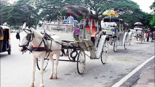 trip-to-sarot-in-mysuru