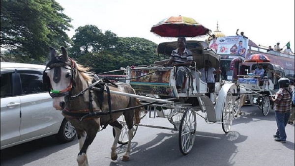 trip-to-sarot-in-mysuru