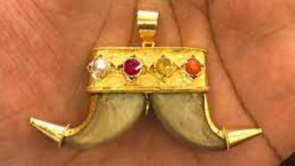 Tiger Claw Wearing BJP Vijugouda Patil Son, Forest officers Search Home in Vijayapur, seized locket