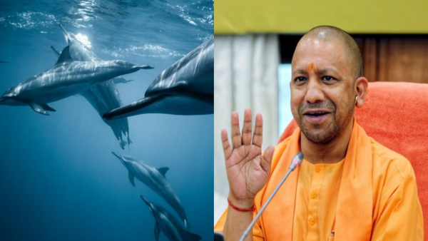 CM Yogi declared dolphin as an aquatic animal of Uttar Pradesh 