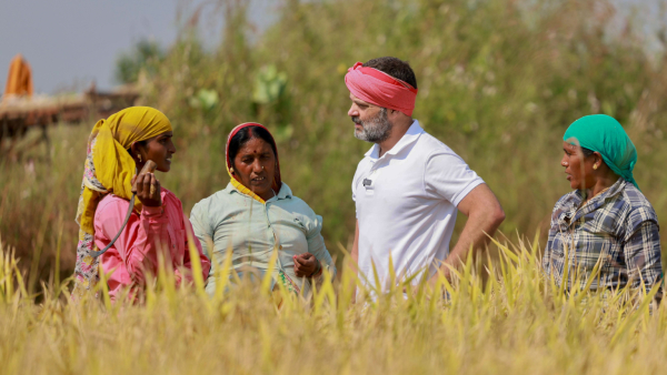 Countdown Begins For 5 State Assembly Election Result