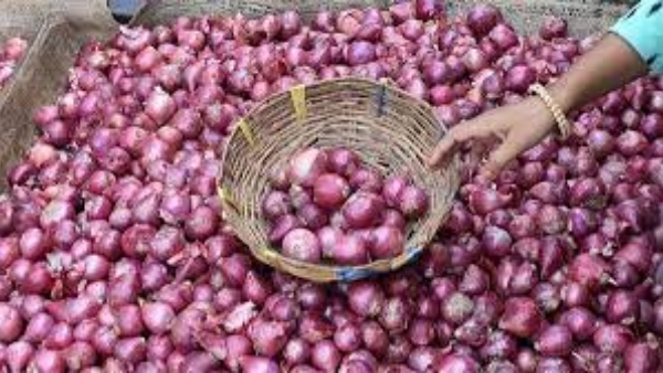 allegation-of-onion-growers allegation-of-onion-growers