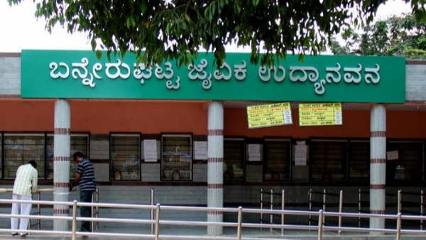 Tourists allowed to enter Bannerghatta National Park on Tuesday 