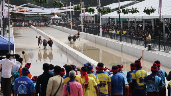  BBMP Rs 50000 Fine Imposed on Kambala Organisers For Violation of Flex-Banner Rules in City