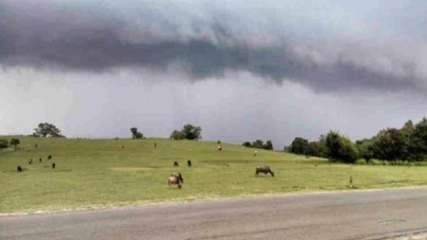 Travel News: Here Is The More Information About Beluru Bane In Kodagu